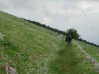 Dscn0050.jpg (207437 byte)